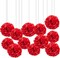 12pc Red Tissue Paper Pompoms-Hanging Paper Pom Poms Paper Flowers Ball for Party Decorative(10&12inch)
